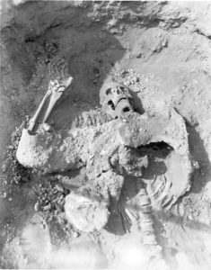 persian-skeleton-dura-110302